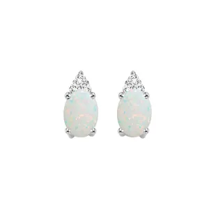 10Kt White Gold Diamond 1/20Ctw & Opal 5/8Ctw Earring