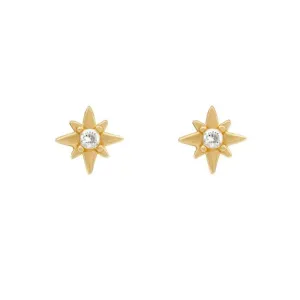 Desi earrings