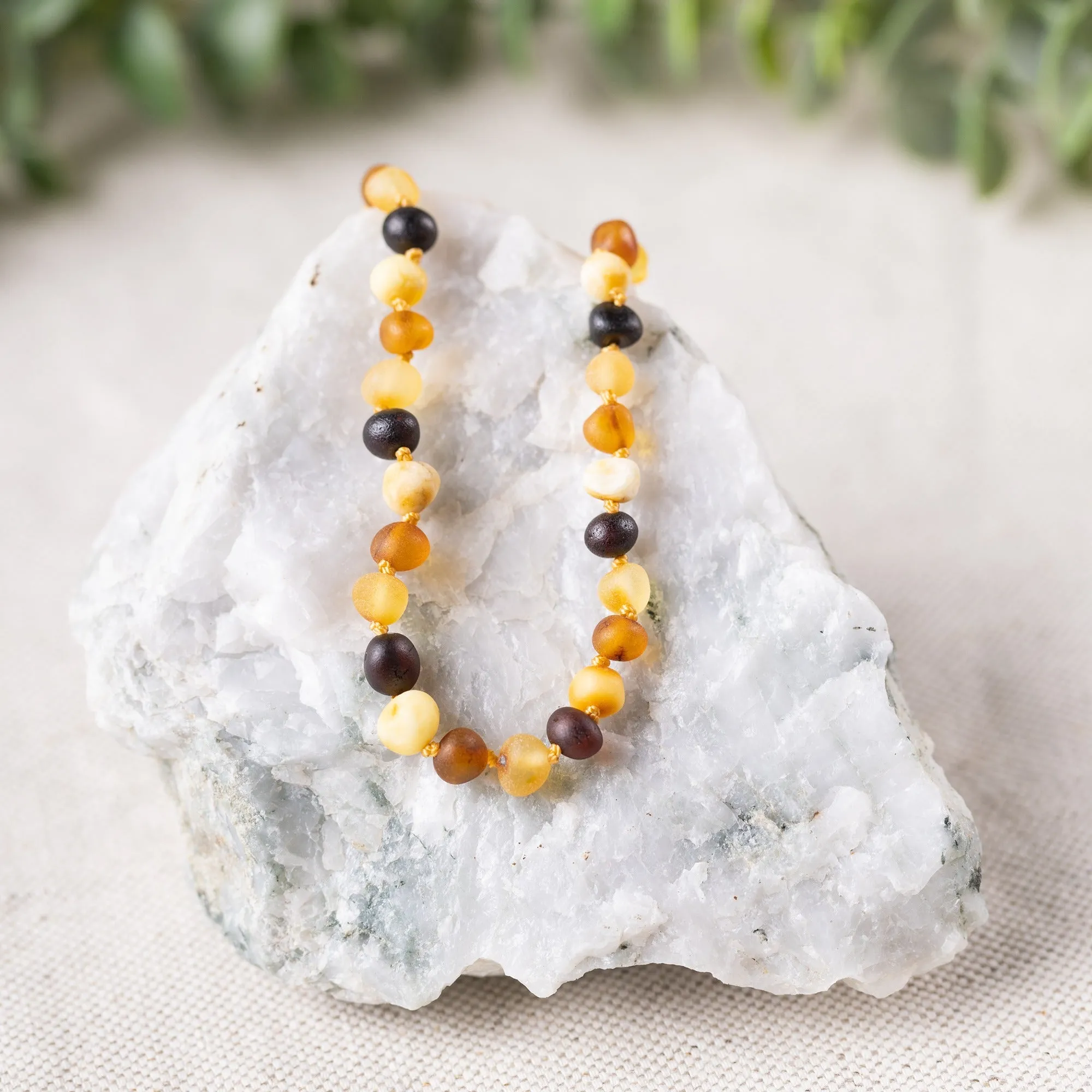 "Grow With Me" Baltic Amber Necklace Sets